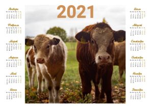 Печать календарей 2021 год в Москве