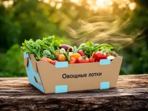Овощные лотки в Москве